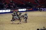 Quadrille - 00677